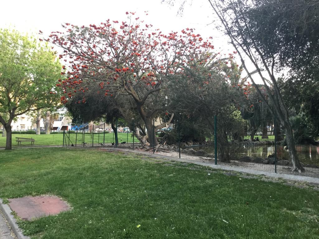 Apartment Gaia House Oristano